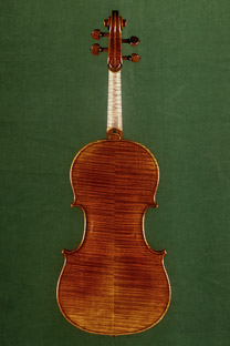 Viola 41.5