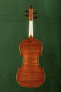 Violin, 1st place Nachod 2008